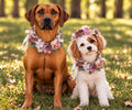 Summer Garden Party Crown & Garland