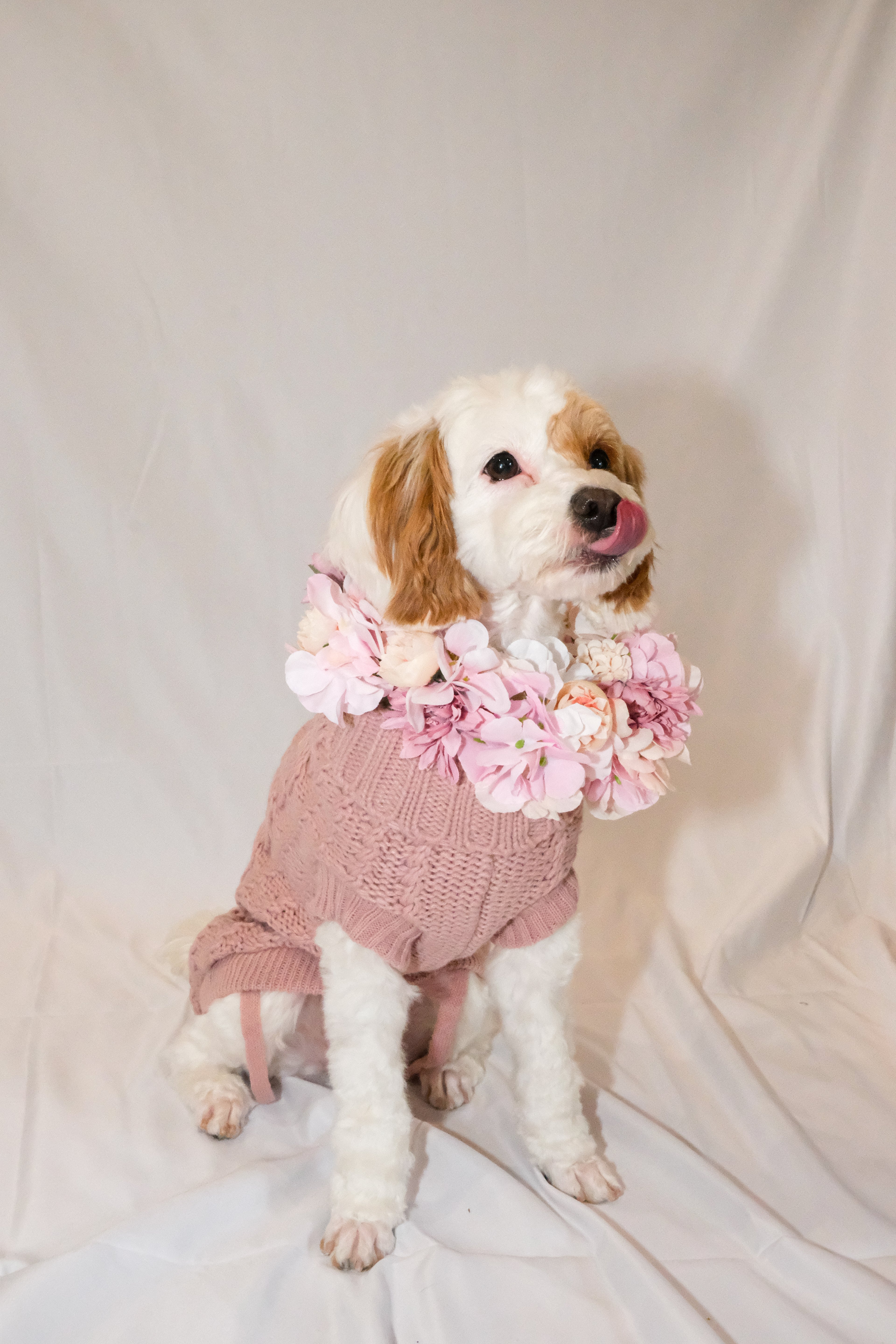 Pink Hydrangea, Dusty Pink Dahlias & Peach Ranunculus Flower Garland – Perfect for Pets & Humans