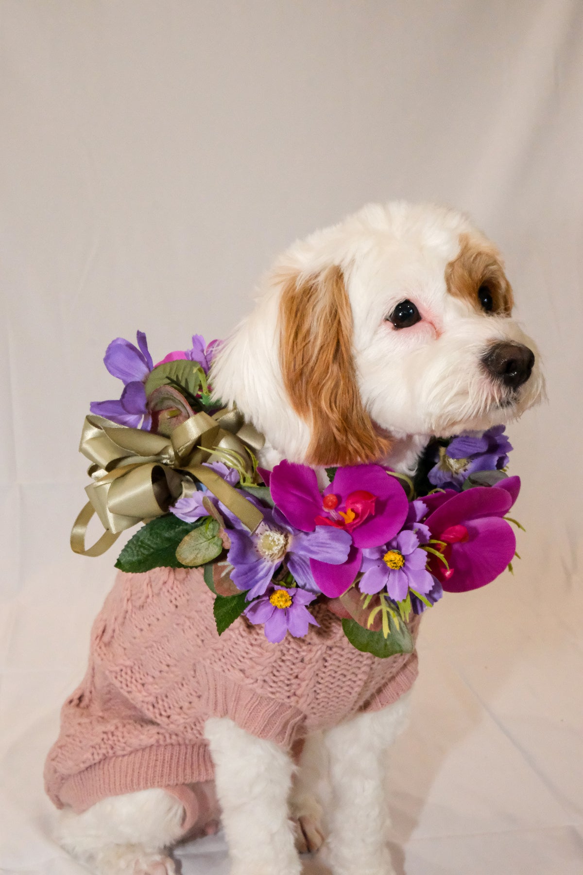 Orchid Isle Escape Crown & Garland
